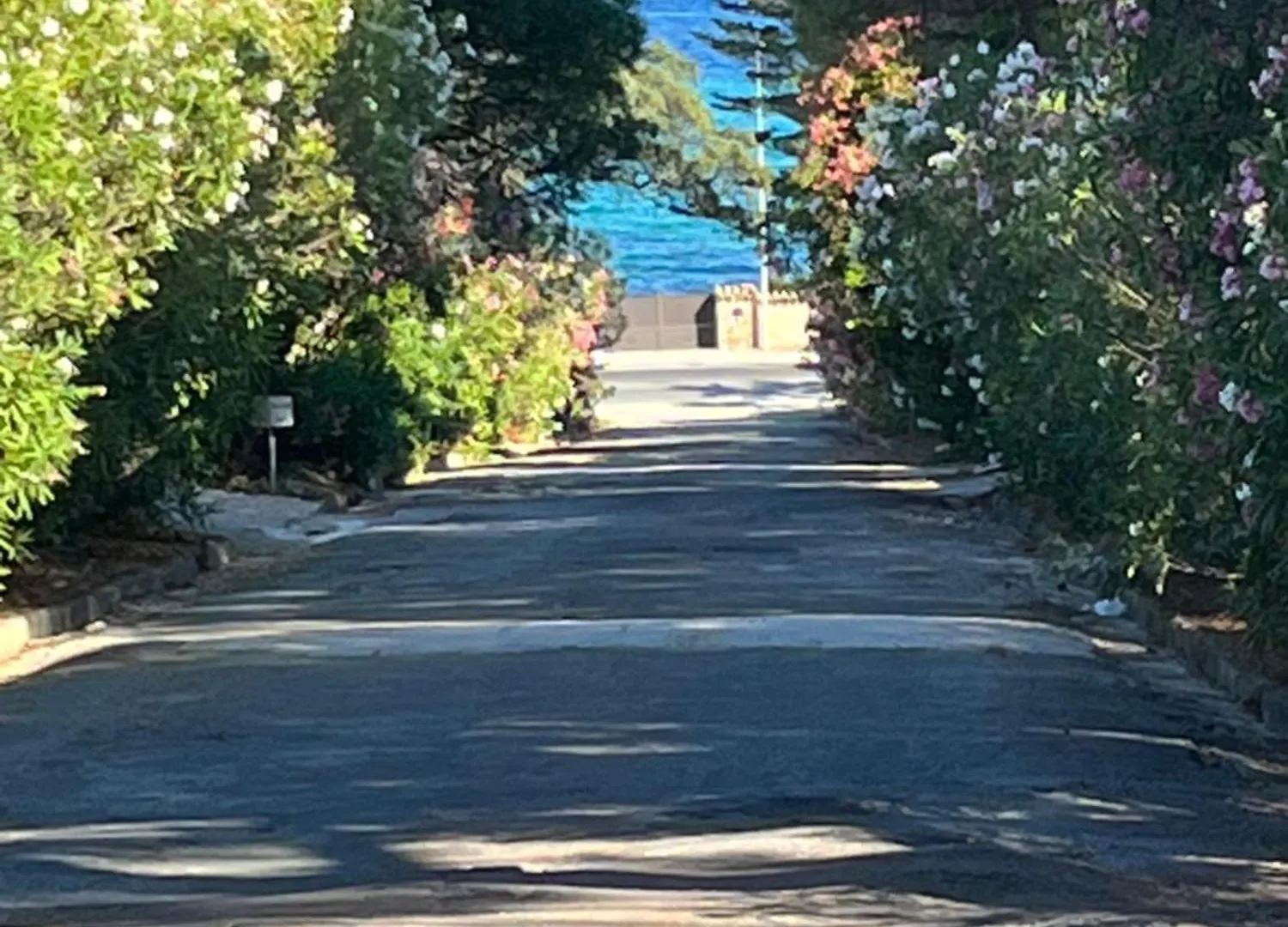 La Villa Les Lauriers, 150 M De La Mer, Grimaud, Golfe De St Tropez